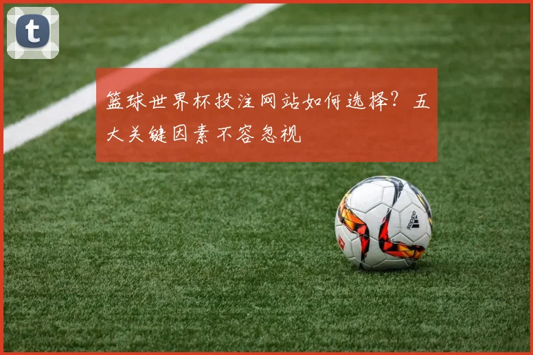 篮球世界杯投注网站如何选择？五大关键因素不容忽视