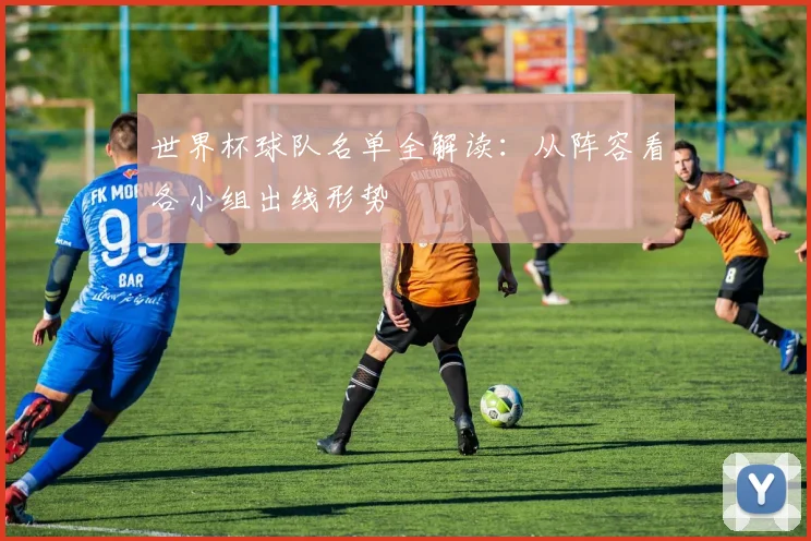 世界杯球队名单全解读：从阵容看各小组出线形势