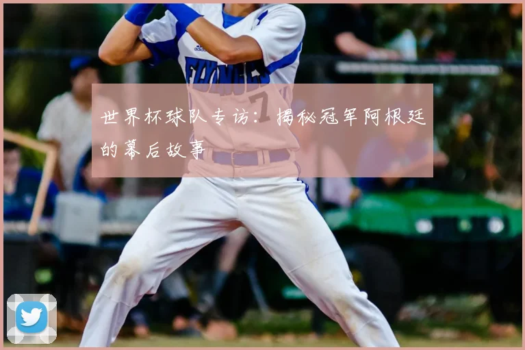 世界杯球队专访：揭秘冠军阿根廷的幕后故事