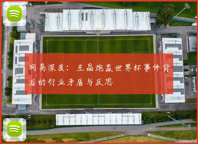 网易深度：王晶炮轰世界杯事件背后的行业矛盾与反思