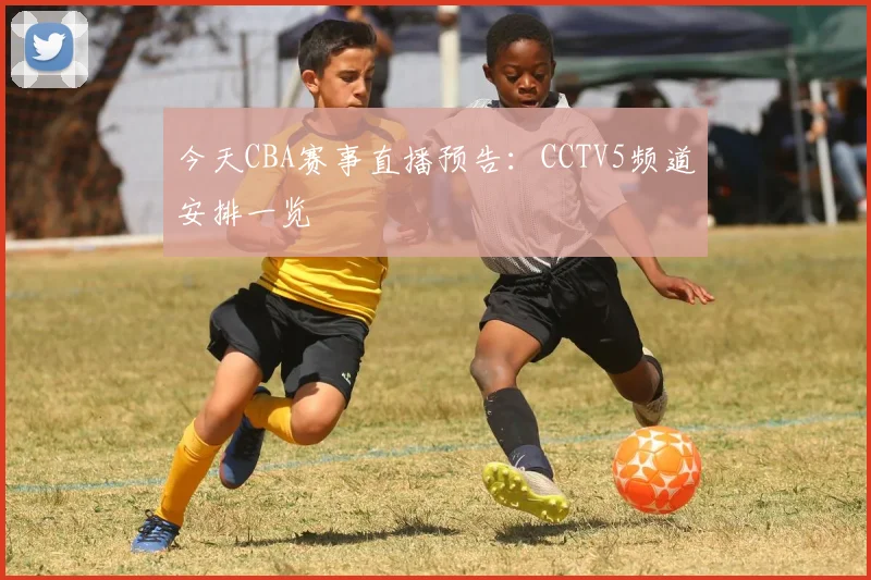 今天CBA赛事直播预告：CCTV5频道安排一览