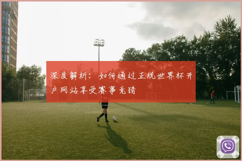深度解析：如何通过正规世界杯开户网站享受赛事竞猜