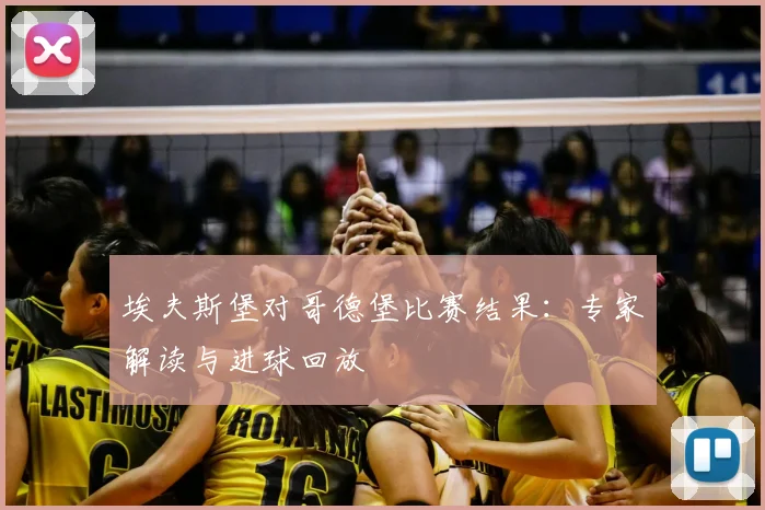 埃夫斯堡对哥德堡比赛结果:专家解读与进球回放