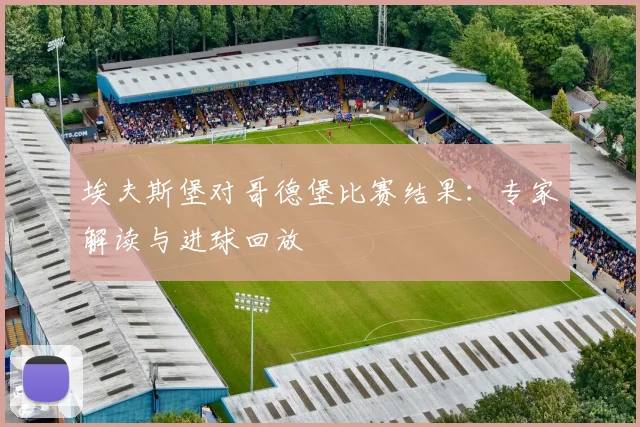埃夫斯堡对哥德堡比赛结果：专家解读与进球回放